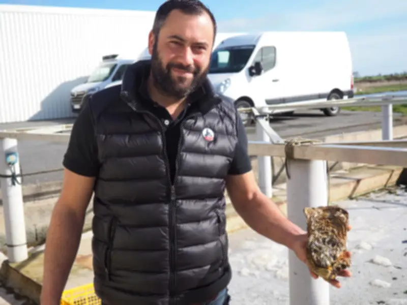 Une huître géante de 1,7 kg découverte à Ars-en-Ré, baptisée « Au Ré »