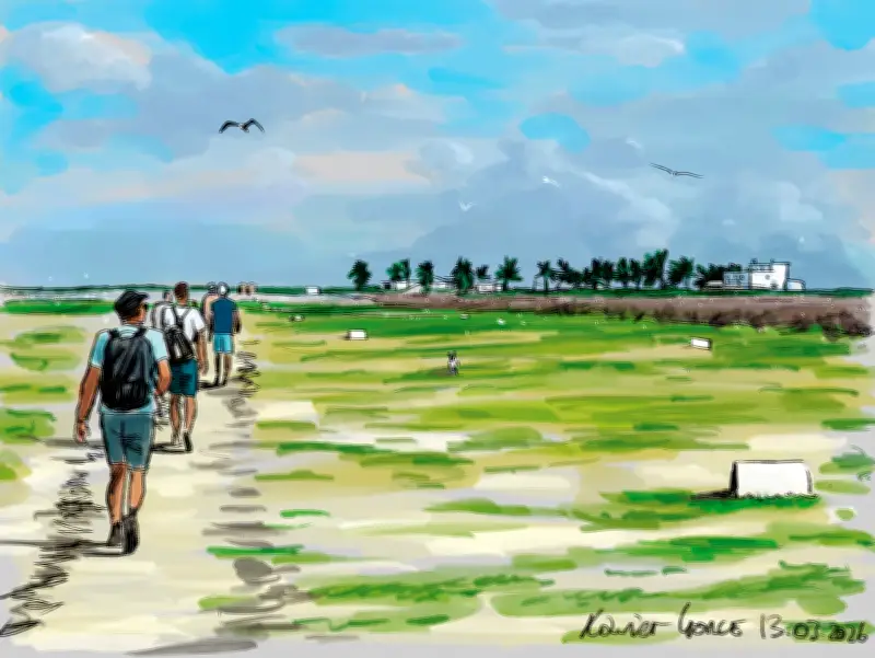 Une immersion au cœur des Terres australes françaises : la vie sauvage préservée de l'île Tromelin