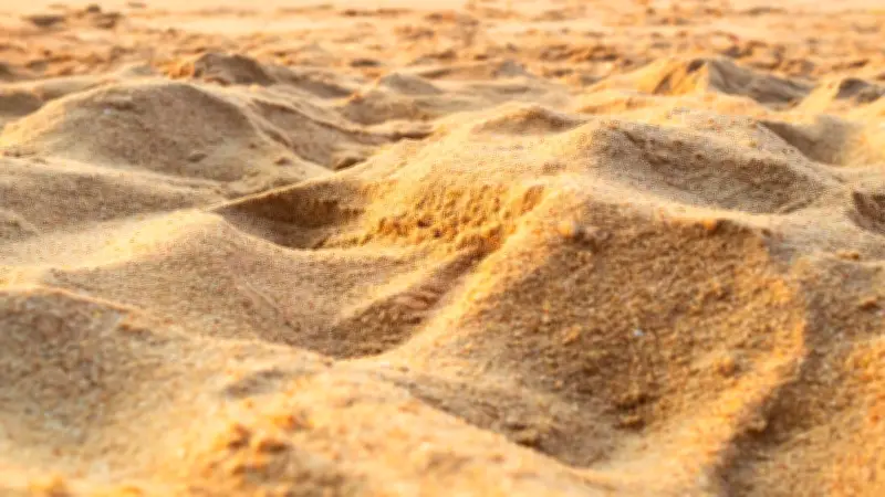 Une jambe retrouvée sur une plage identifie un banquier disparu depuis 26 ans