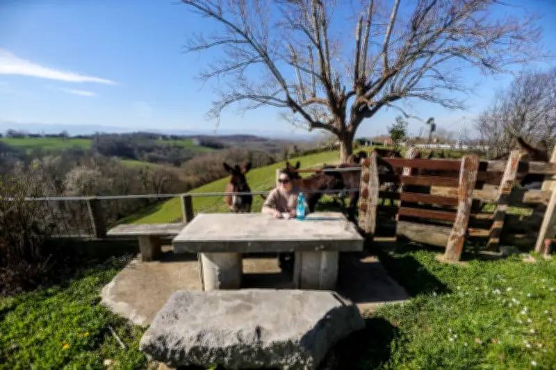 Une pierre tombale recyclée en table de pique-nique révèle une énigme familiale en Béarn