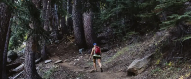 Une randonneuse sauvée par hélicoptère après un choc anaphylactique causé par des fourmis de feu