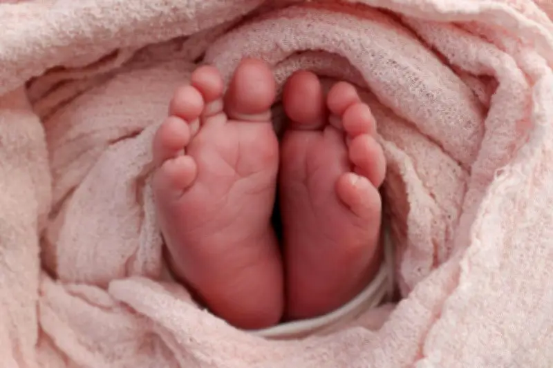 Une étude révèle que le sexe des enfants n'est pas toujours aléatoire dans les fratries