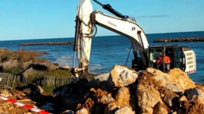 Valras-Plage renforce son cordon dunaire face aux assauts répétés de la mer
