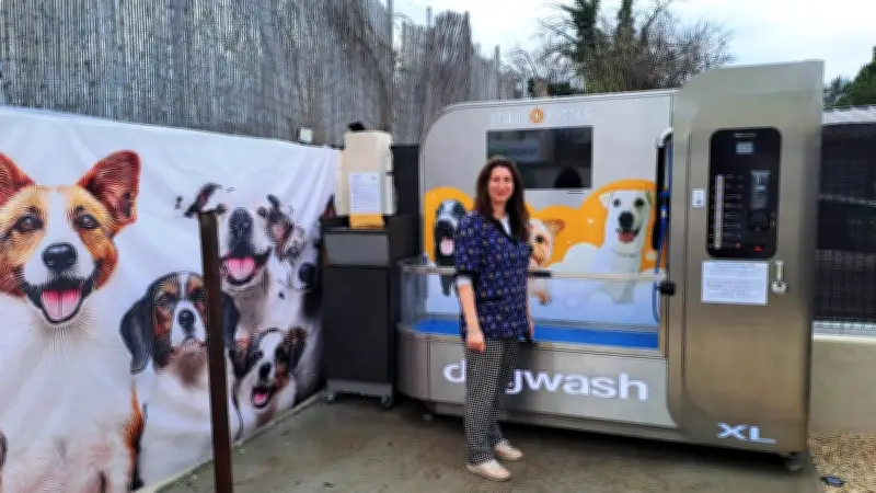 Vauvert : une toiletteuse lance un libre-service pour laver son chien 24h/24