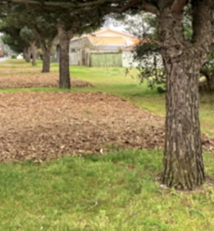 Vendays-Montalivet recycle ses déchets verts pour stabiliser les sols sablonneux