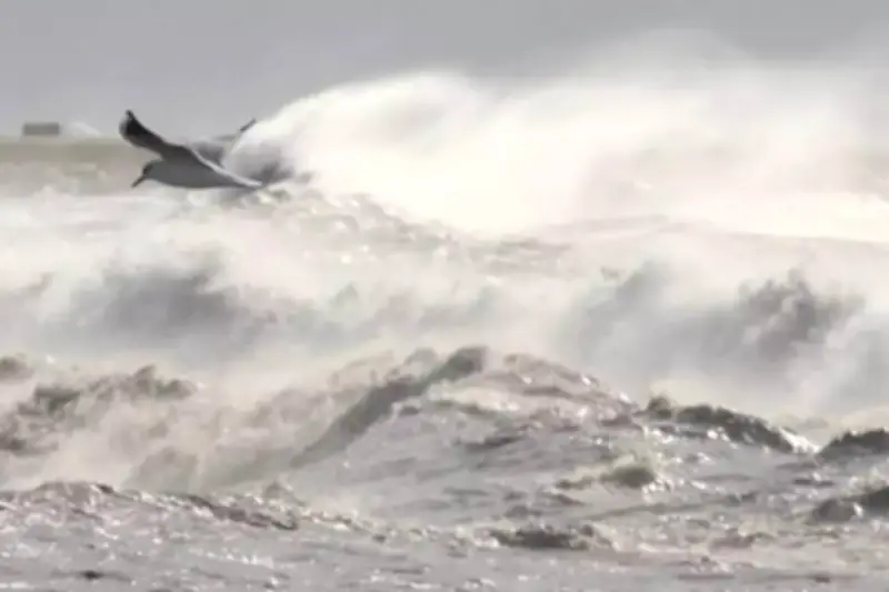 Vents violents dans le Var : fermetures et dégâts recensés à Hyères et La Seyne