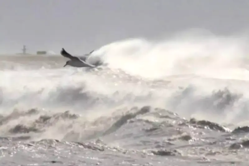 Vigilance jaune dans le Var : vents violents jusqu'à 110 km/h ce lundi 30 mars