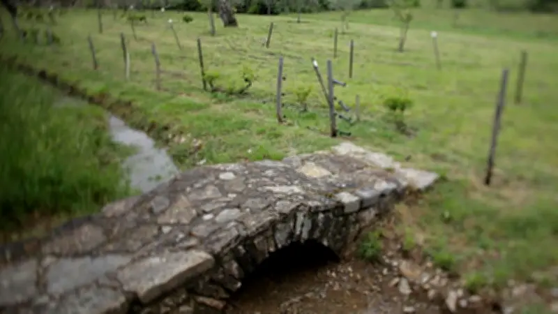 Vigne et poésie aux Jardins de la Gardie : atelier et balade musicale