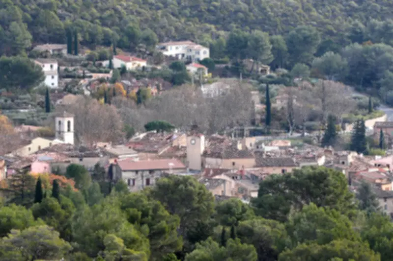Villecroze : un pin s'abat sur la RD 560, coupant la route et une ligne haute tension