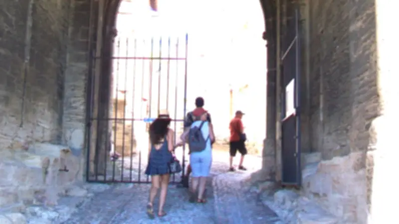 Villeneuve-lès-Avignon : dimanche historique au fort Saint-André et à la Chartreuse