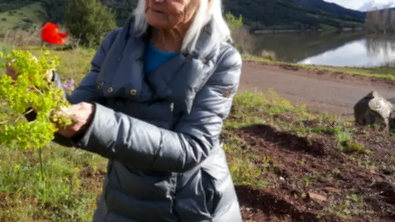 Villeneuvette renaît : le livre d'Arlette Rives sur la renaissance du village