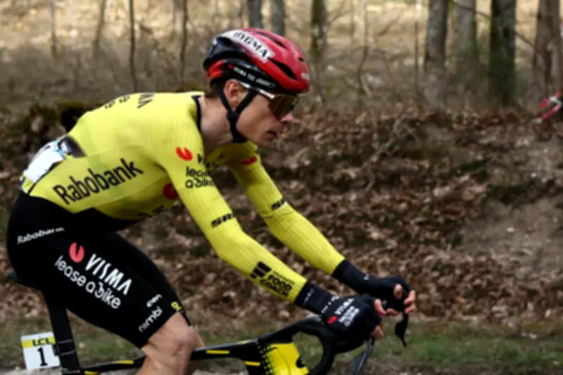 Vingegaard s'impose en solitaire et endosse le maillot jaune après l'abandon d'Ayuso