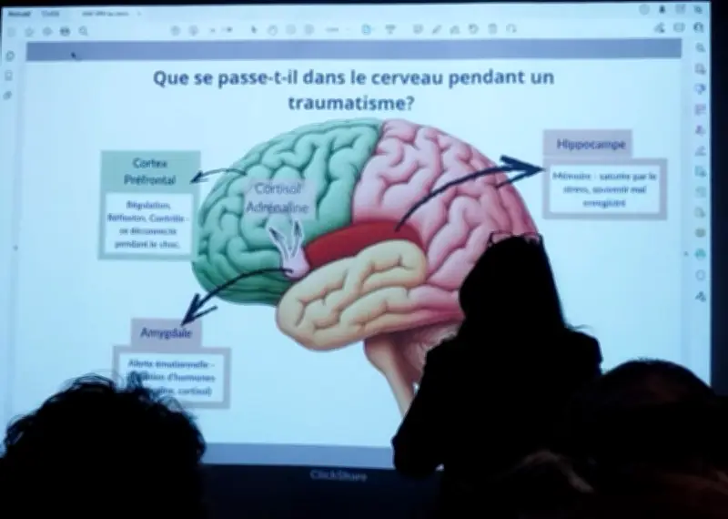 Virtual Therapia : une innovation IA et hypnose pour traiter le stress post-traumatique