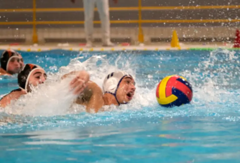Water-polo : La Rochelle subit une lourde défaite face à Mulhouse