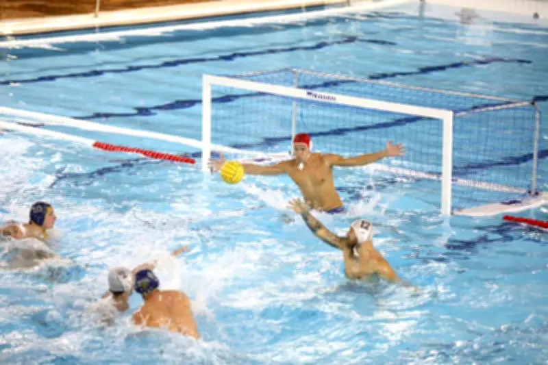 Water-polo : l'Olympic Nice Natation retrouve les sommets grâce à un projet solide