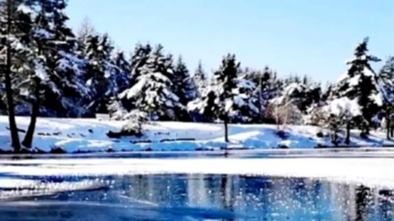 William Bonnet : de l'entraînement glacial du Gard à l'argent mondial en Finlande