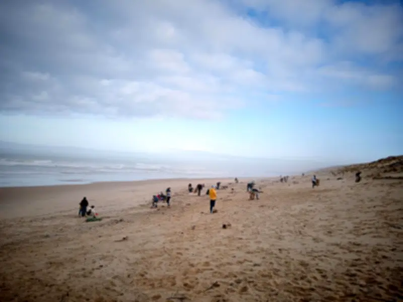Wings of the Ocean organise un nouveau ramassage de déchets au Porge après les tempêtes
