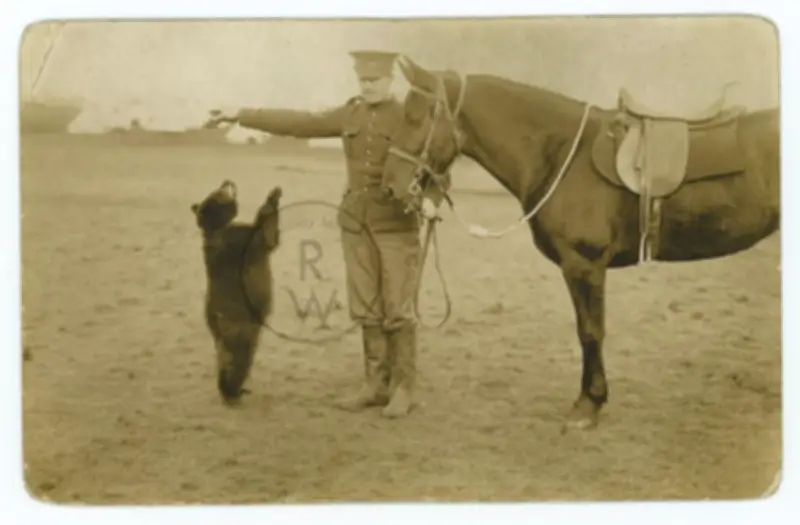 Winnie l'ourson a 100 ans : l'histoire vraie d'un soldat canadien et d'un ourson