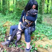 Affaire Pilarski : Deux pétitions pour sauver le pitbull Curtis de l'euthanasie