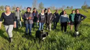 Agroforesterie à Laplume : 720 arbres plantés par des bénévoles engagés