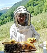 Apicultrice d'Accous : appel aux dons après une attaque de frelons asiatiques