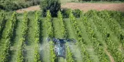 Atmo France révèle une carte interactive sur la présence généralisée de pesticides dans l'air