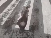 Aytré : 3 tonnes d'enrobé pour réparer 200 nids-de-poule après les pluies