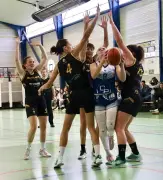 Basket féminin : triplé historique pour les équipes du Périgord