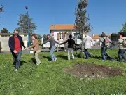 Blaye : un chêne vert planté à Sainte-Luce, les riverains veilleront sur sa croissance