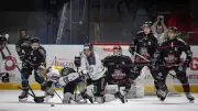 Boxers de Bordeaux : Un quart de finale épique contre Marseille en hockey sur glace