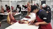 Concours des meilleurs apprentis bouchers en Lozère : deux lauréats sélectionnés pour la finale nationale