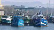 Crise énergétique : les pêcheurs et transporteurs dénoncent des aides insuffisantes face au risque de choc pétrolier