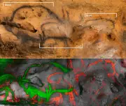 Découverte de dessins au charbon de bois à Font-de-Gaume : une révolution pour la préhistoire