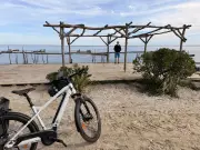 Découverte à vélo de la presqu'île du Cap-Ferret : 47 km d'itinéraires bis entre mer et forêt