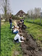 Des élèves de Maransin plantent des arbres à la ferme pour préserver la biodiversité
