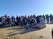 Des oiseaux rescapés des tempêtes hivernales retrouvent la liberté sur la plage de La Lagune