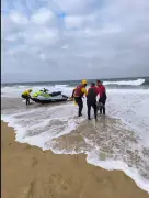 Deux dauphins échoués à Seignosse sauvés par les pompiers malgré des conditions difficiles
