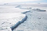 En Antarctique, des scientifiques imaginent un mur sous-marin pour freiner la fonte des glaces
