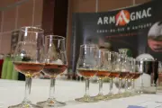 Fest'Armagnac : la 3e édition du festival dédié au spiritueux gascon investit Bordeaux