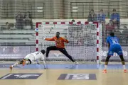 Handball : Saintes s'incline face à Sarrebourg dans un match serré (27-29)