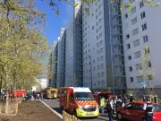 Incendie au Grand Parc de Bordeaux en 2019 : retour sur un sinistre sans victime
