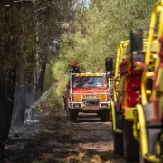 Incendie dans le massif de la Bessède en Dordogne : 4 hectares détruits