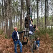 Innovation contre les incendies : capteurs et IA pour protéger les forêts