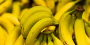 La banane détrône la pomme : les Français adoptent massivement le fruit tropical