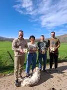 La bergerie d'Amikuze décroche l'argent pour son yaourt vanille bio au Salon de l'agriculture