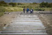 La Cara mobilise les collectifs agricoles pour renforcer la coopération locale