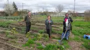 La ferme urbaine Au jardin de Fourchebêche ouvre ses portes fin avril à Bruges