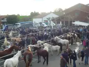 La foire d'Hélette, tradition printanière depuis 1962 avec chiens de berger et saveurs locales