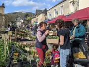 La Fête de l'arbre, du bois et de la fleur de Montignac-Lascaux connaît un franc succès