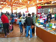 La Fête des mots célèbre l'arbre à travers l'art et la littérature lors de sa deuxième édition